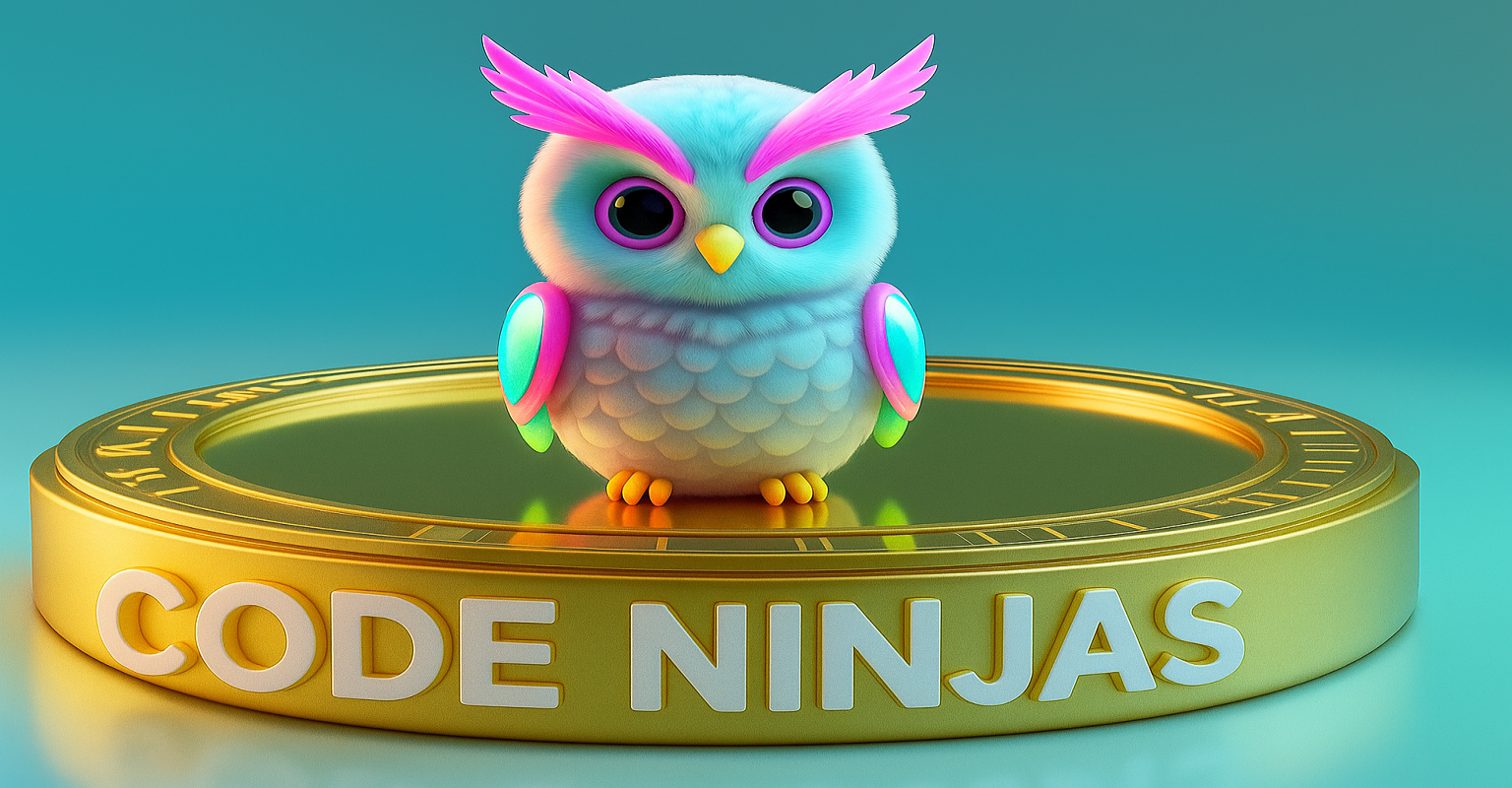 Code Ninjas
